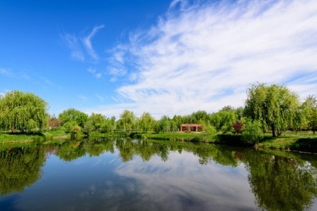 Parcul Mogosoaia - unul dintre cele mai frumoase locuri de vizitat lângă Bucuresti