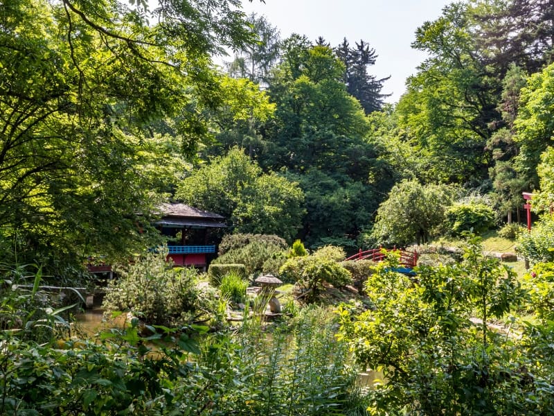 Grădina Botanică din Cluj