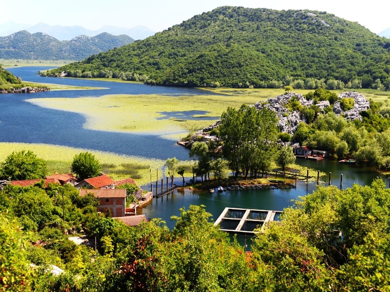 Lacul Skadar din Muntenegru