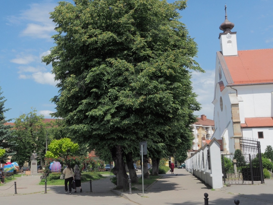 Biserica Intrarea în biserică a Maicii Domnului din Bistrița