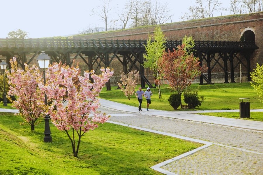 Șanțurile Cetății Alba Iulia