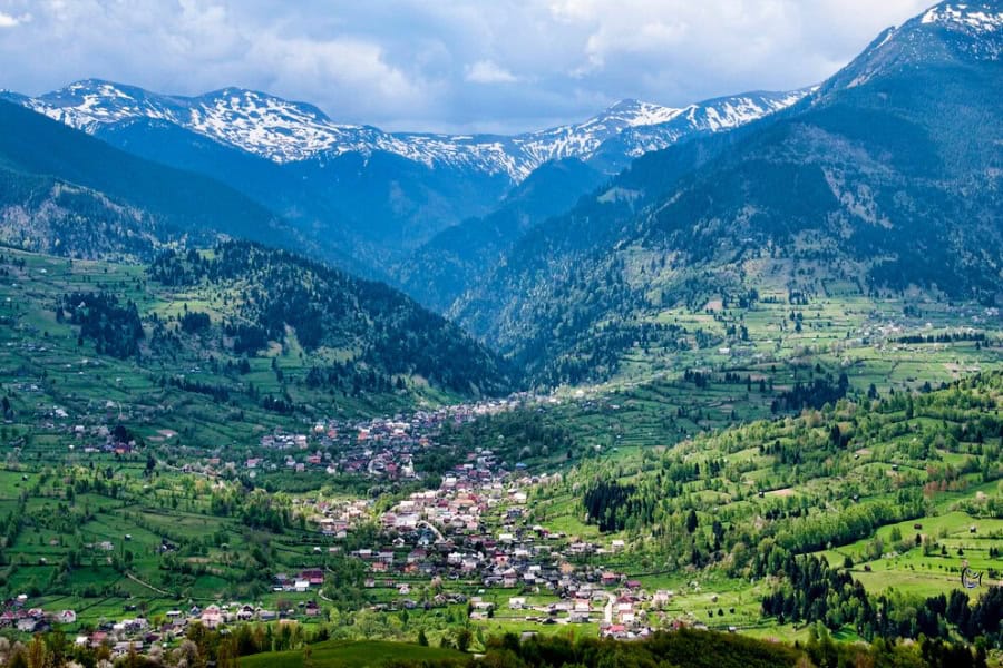 Borșa