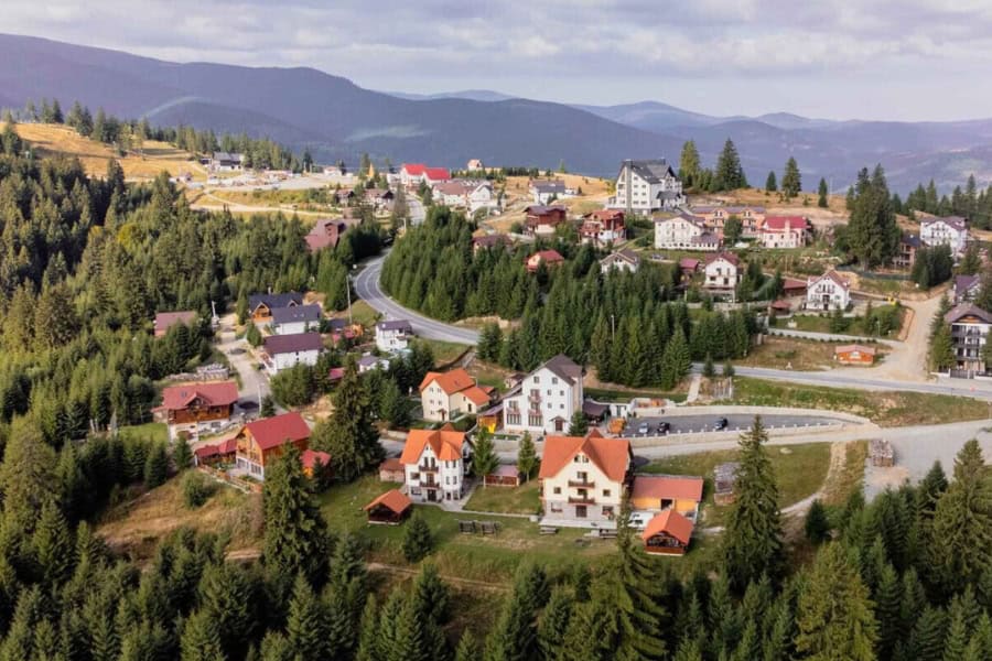 Păltiniș