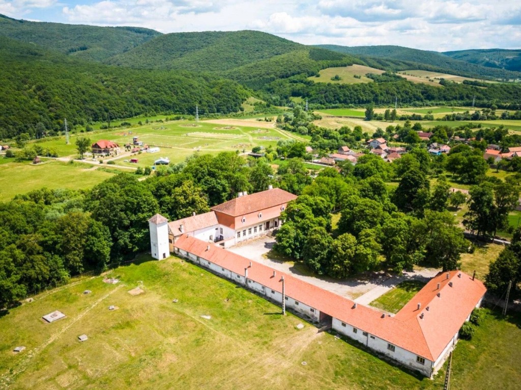 Castelul Miko
