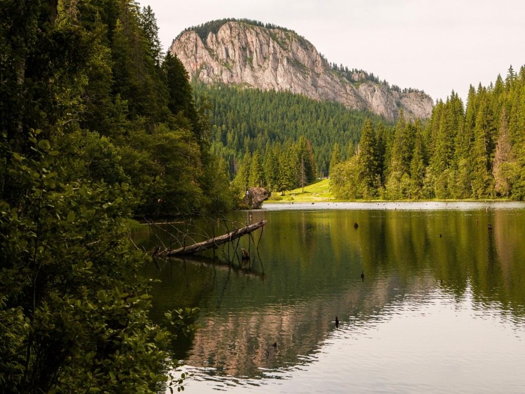Lacul Roșu