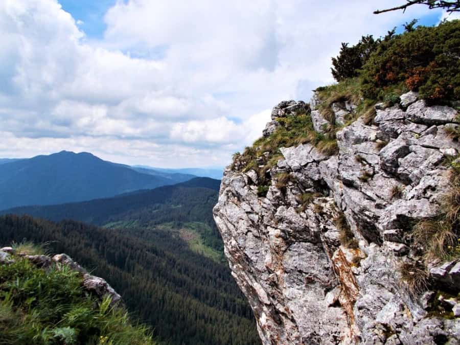Rezervația Piatra Pinului