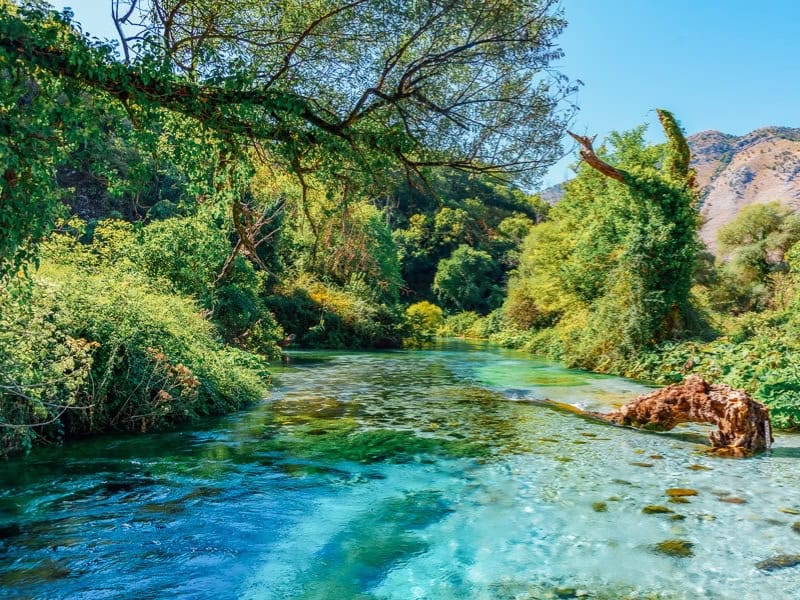 Blue Eye Saranda