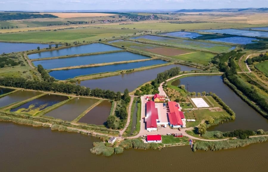 Delta Moldovei din Larga Jijia