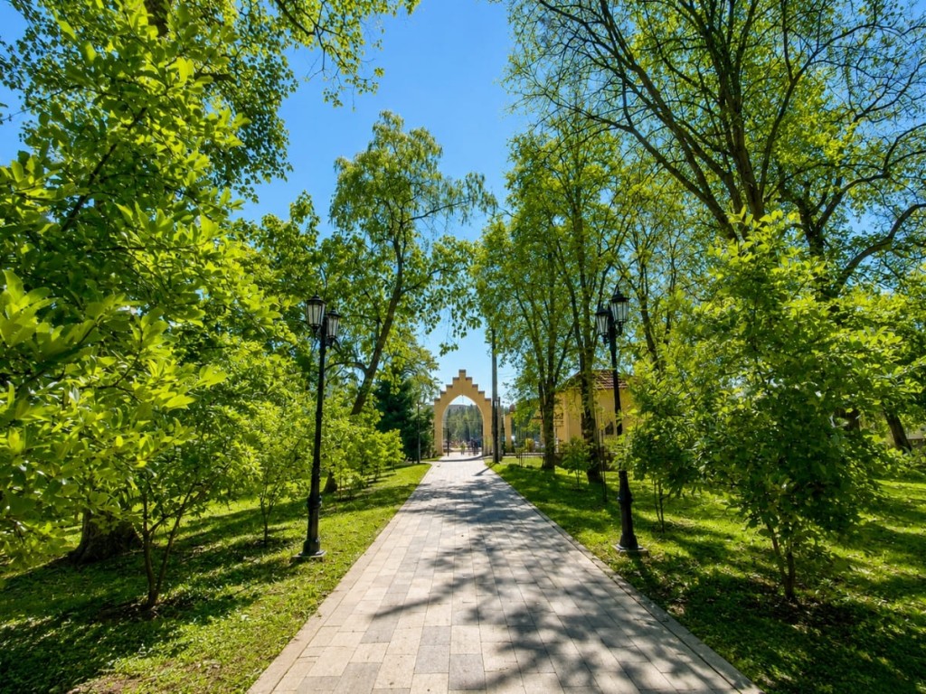 Parcul Dendrologic din Carei